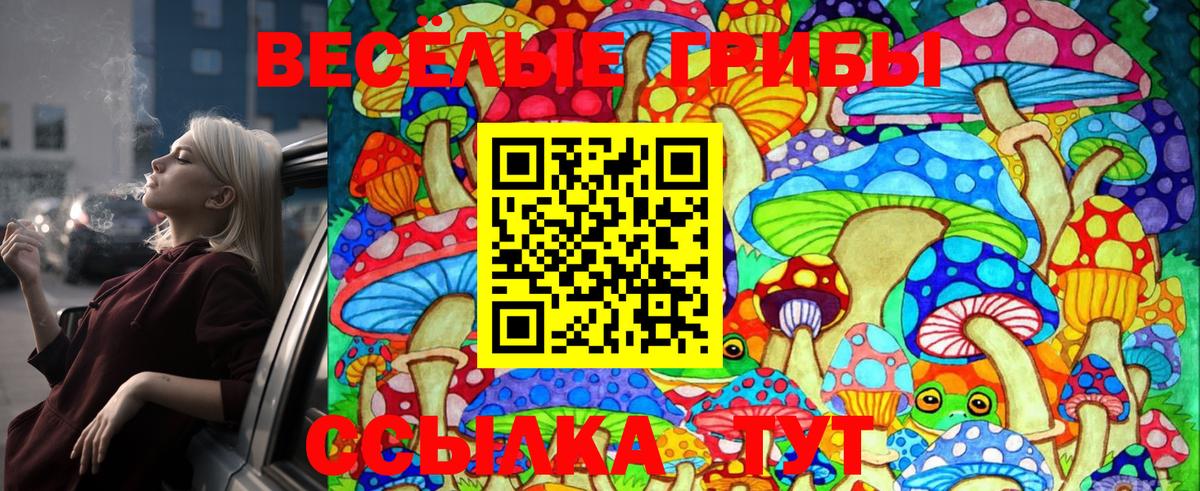 Галлюциногенные грибы Psilocybe Белебей