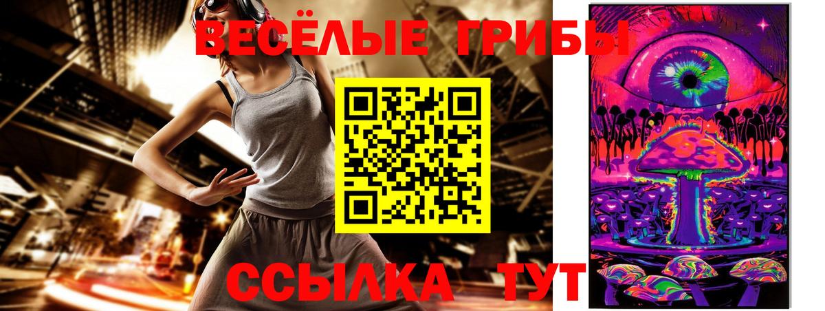 Белебей  Галлюциногенные грибы Cubensis  Вход с VPN  Псилоцибиновые грибы прущие грибы 